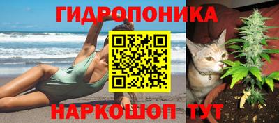 молекула духа Лесосибирск