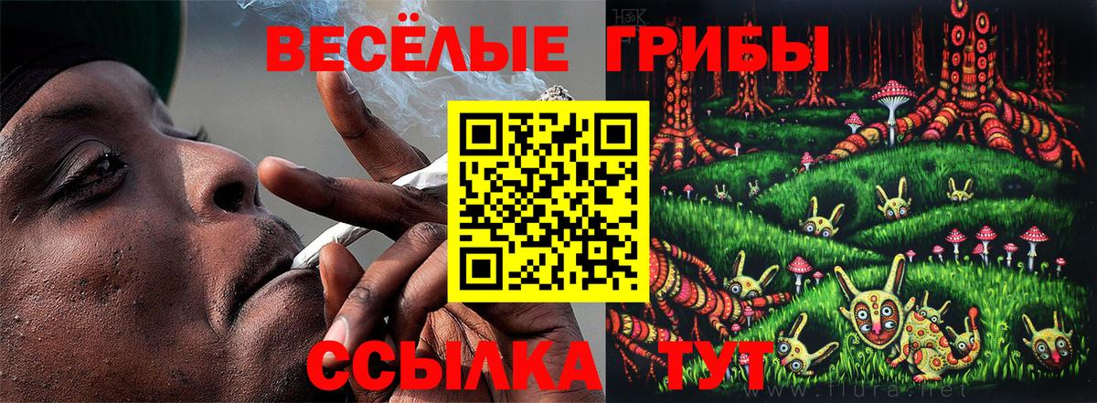 Галлюциногенные грибы MAGIC MUSHROOMS  Вход с VPN  Галлюциногенные грибы ЛСД  Всеволожск 