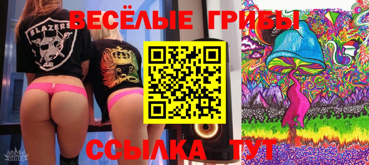 Галлюциногенные грибы мицелий Всеволожск